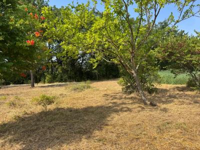 VIDAUBAN : Terrain 1385m2 proche centre / Emprise 207 m2