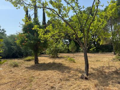 VIDAUBAN : Terrain 1385m2 proche centre / Emprise 207 m2