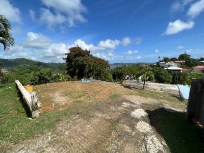 Terrain   Agence Accord Immobilier, Martinique