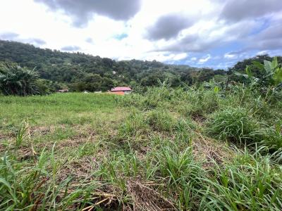 Le lorrain (97214), terrain plat bénéficiant d'une belle vue dégagée Agence Accord Immobilier, Martinique
