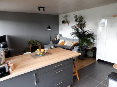 Vue: Appartement T2 à vendre à Annemasse Cuisine équipée salon, T2 à vendre à Annemasse Romagny balcon cave et garage compris