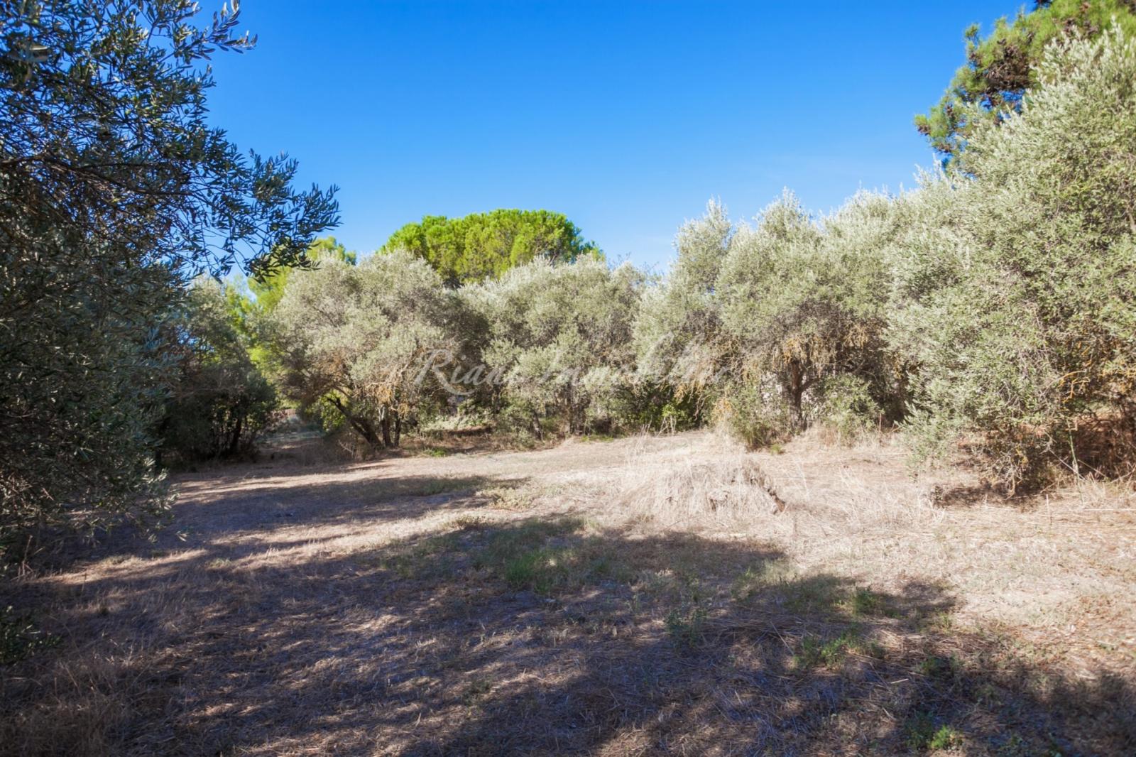 terrain cabrieres d avignon • 290 000 € a vendre, luberon, cabrières d'avignon, terrain constructible de 1 115 m² · à Cabrièr