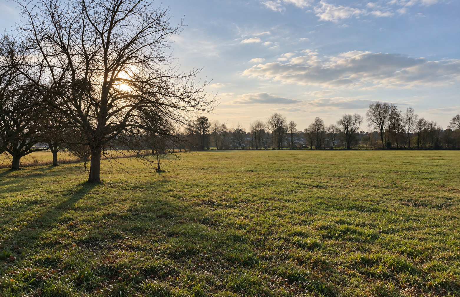 Terrain 360 m² · à Ottmarsheim · 93 700 €