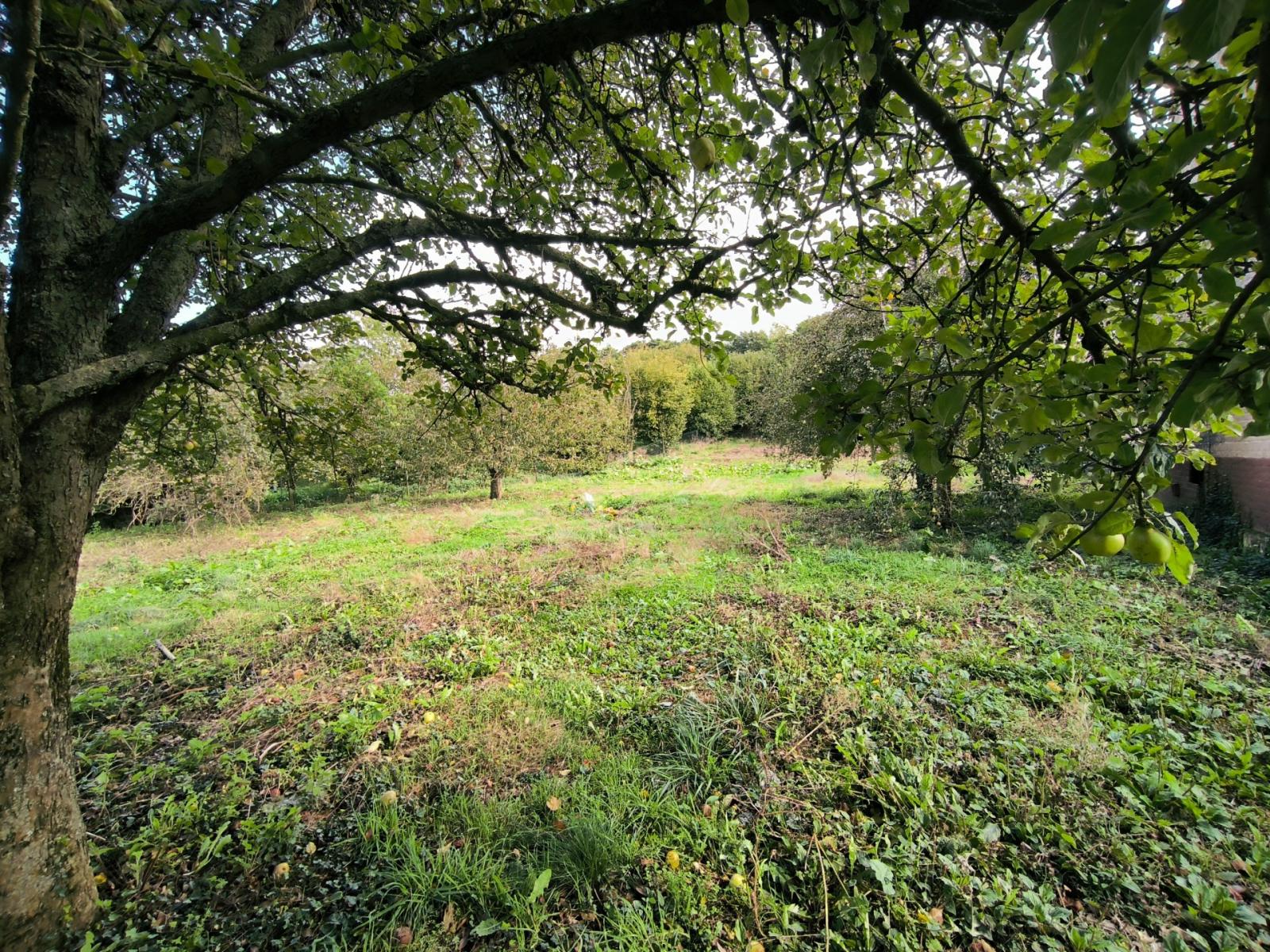 Terrain constructible de 1463 m2 dans un cadre verdoyant - Maisnil Les Ruitz (62620)