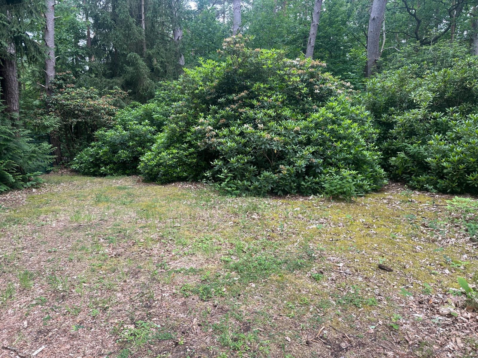 Terrain