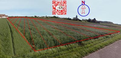 Terrain à bâtir avec CU opérationnel accordé - viabilités devant le terrain de 1861 m² - seulement 17,46 euros /m² - VERDUN SUR LE DOUBS (71350)