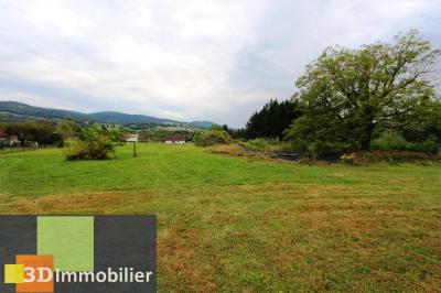 LONS-LE-SAUNIER SUD (Jura), à vendre GRANDE PROPRIETE de 4 chambres sur 1,5 hectares., 