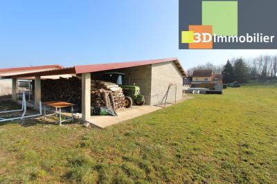 Secteur Bletterans (39 JURA), à vendre maison contemporaine de 4 chambres à la campagne sur un grand terrain., HANGAR DE 110 m²