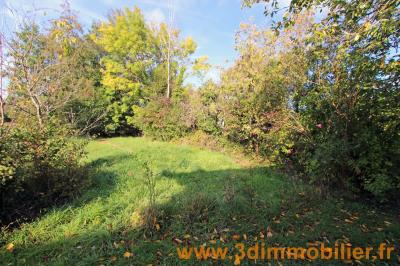 A louer secteur Villevieux au CALME, une maison avec 2 chambres, dépendances et jardin., TERRAIN