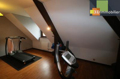 Dole à 15 minutes, dans village sympathique, vends belle et grande propriété avec gîte de 291m² + 55m² , 12 pièces, avec un terrain clos de 17700m² avec étang., 