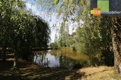 Dole à 15 minutes, dans village sympathique, vends belle et grande propriété avec gîte de 291m² + 55m² , 12 pièces, avec un terrain clos de 17700m² avec étang., 
