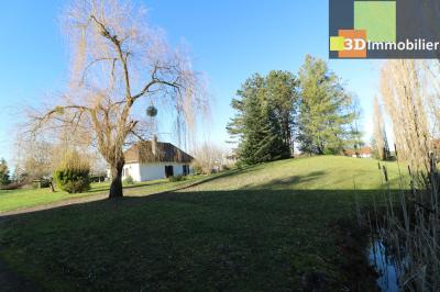 Dole à 15 minutes, dans village sympathique, vends belle et grande propriété avec gîte de 291m² + 55m² , 12 pièces, avec un terrain clos de 17700m² avec étang., 