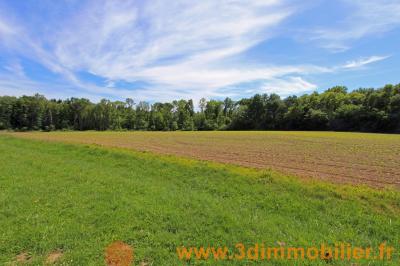 Secteur Chaussin (39 JURA), vends une maison rénovée et un corps de ferme sur 54 656 m² de terrain., VUE TERRAIN