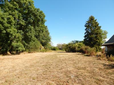 VENTE : SECTEUR BLETTERANS (39), À VENDRE MAISON RÉNOVÉE PLAIN-PIED 119 M², 3 CHAMBRES, GARAGE, TERRAIN 2614 M², TERRAIN