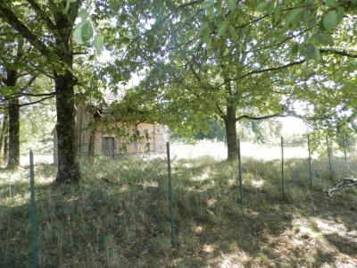 Secteur St Germain-du-Bois (71), À VENDRE TERRAIN CONSTRUCTIBLE SITUÉ AU CALME 1148 M² AVEC DÉPENDANCE, TERRAIN À VENDRE 1148 M²