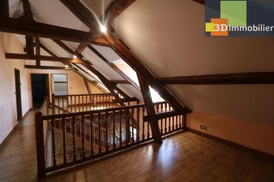 Saint Germain-du-Bois, à vendre très belle demeure récente avec dépendance sur 3000m² de terrain., 