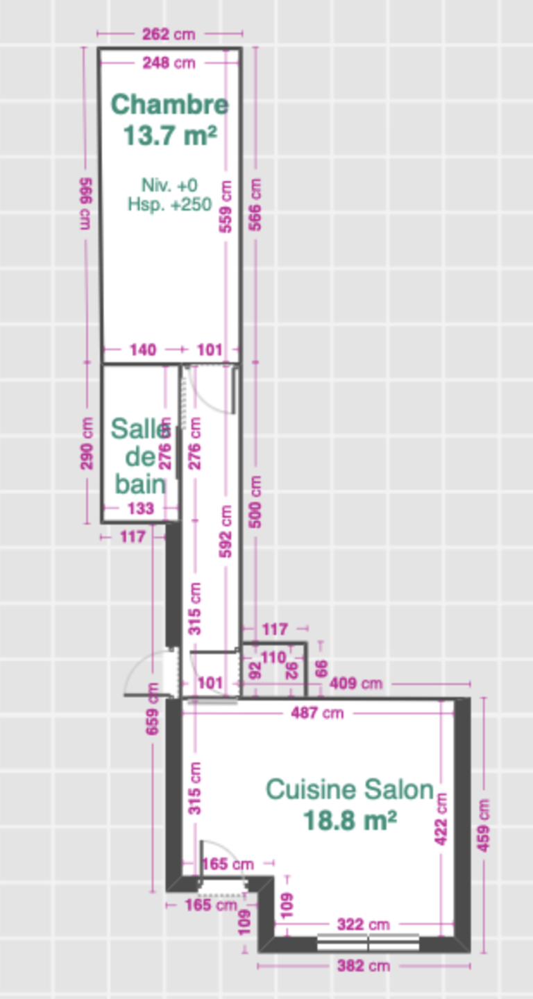 Appartement une chambre ( sous réserve d'un permis)